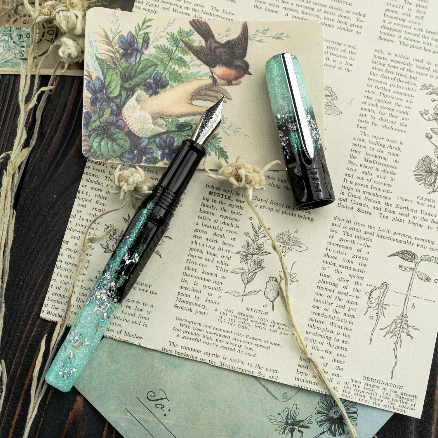 BENU Talisman Fountain Pen Edelweiss / Medium
