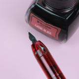 PLATINUM CURIDAS Fountain Pen + Gift Box : Gran Red F