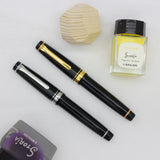 SAILOR Professional Gear Black F.Pen GT 21K