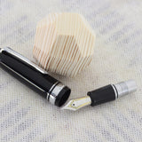 SAILOR Professional Gear Black F.Pen GT 21K