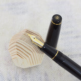 SAILOR Professional Gear Black F.Pen GT 21K