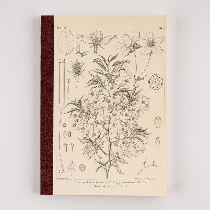 HOBONICHI 2024 Plain Notebook Yamazakura A5