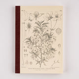 HOBONICHI 2024 Plain Notebook Yamazakura A5