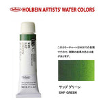 HWC HOLBEIN Watercolor B 5ml Tube