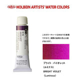 HWC HOLBEIN Watercolor B 5ml Tube