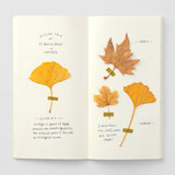 TRAVELER'S Notebook Refill LIST 2/2