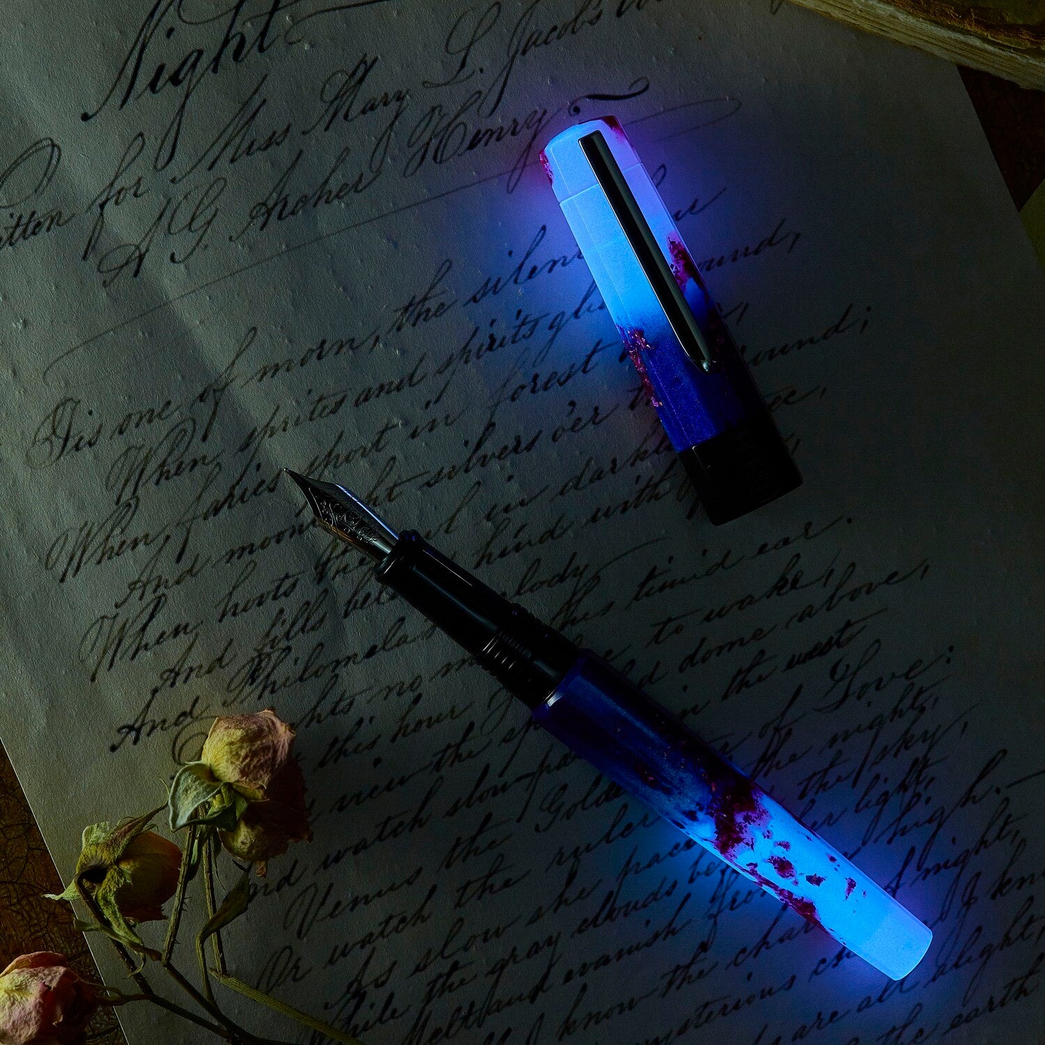 BENU Euphoria Fountain Pen Love Story