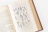 Appree Pressed Flower Sticker