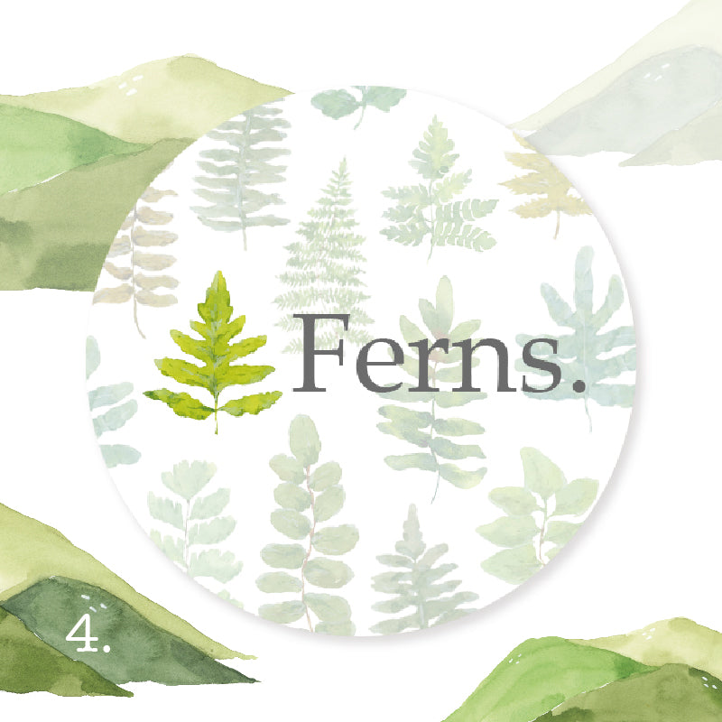 OURS Washi Tape Ferns
