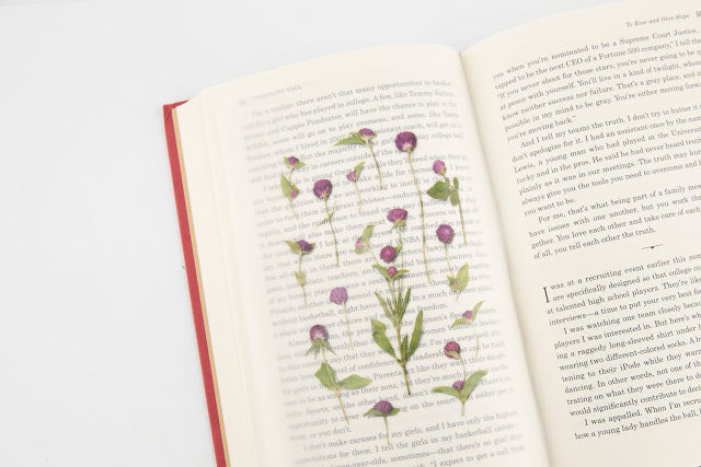 Appree Pressed Flower Sticker