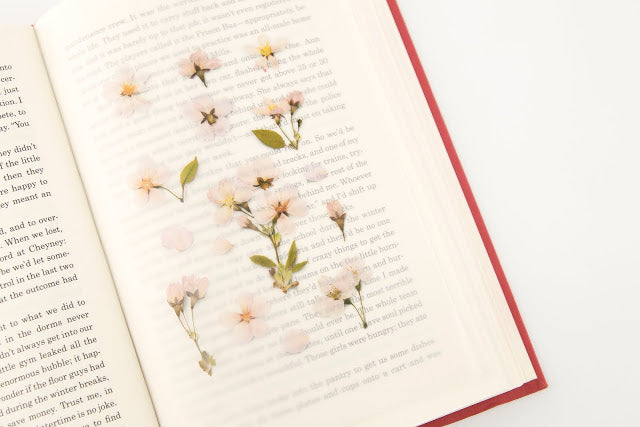 Appree Pressed Flower Sticker