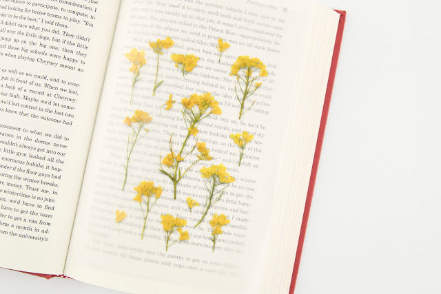 Appree Pressed Flower Sticker