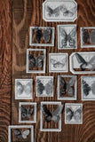 LCN Butterfly Rubber Stamp Set