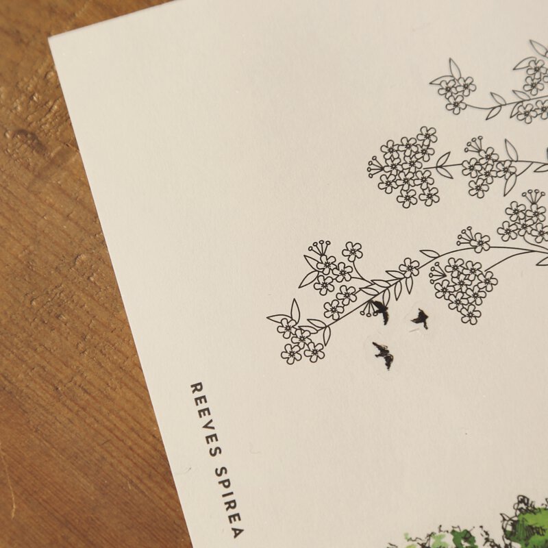 MODAIZHI One Day II Print-On Sticker Fairy Tale