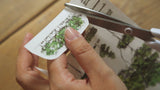 MODAIZHI One Day II Print-On Sticker Fairy Tale