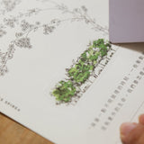 MODAIZHI One Day II Print-On Sticker Fairy Tale