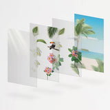Appree Nature Scene Sticker Tropical Day