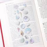 Appree Nature Sticker Seashell