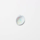 Appree Nature Sticker Seashell