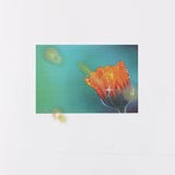 Appree Nature Sticker Light