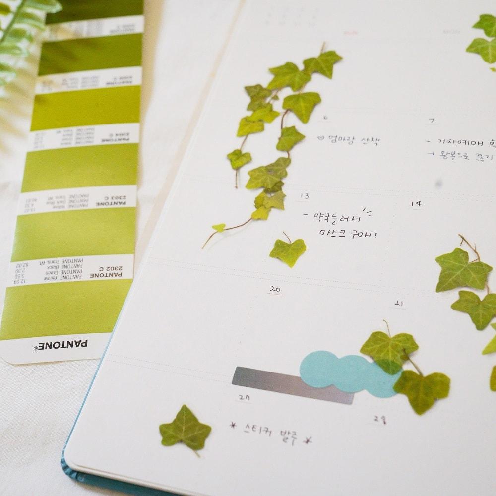 Appree Pressed Flower Sticker Ivy