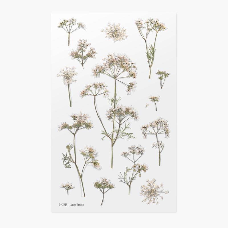 Appree Pressed Flower Sticker Lace Flower