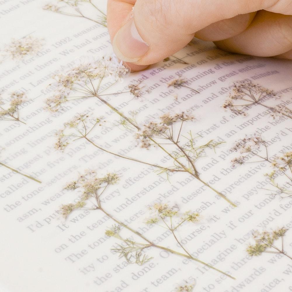 Appree Pressed Flower Sticker Lace Flower