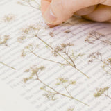Appree Pressed Flower Sticker Lace Flower