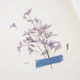 Appree Pressed Flower Sticker Misty Blue