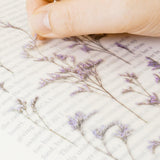 Appree Pressed Flower Sticker Misty Blue