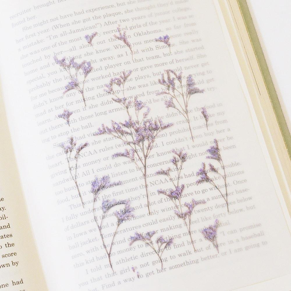 Appree Pressed Flower Sticker Misty Blue