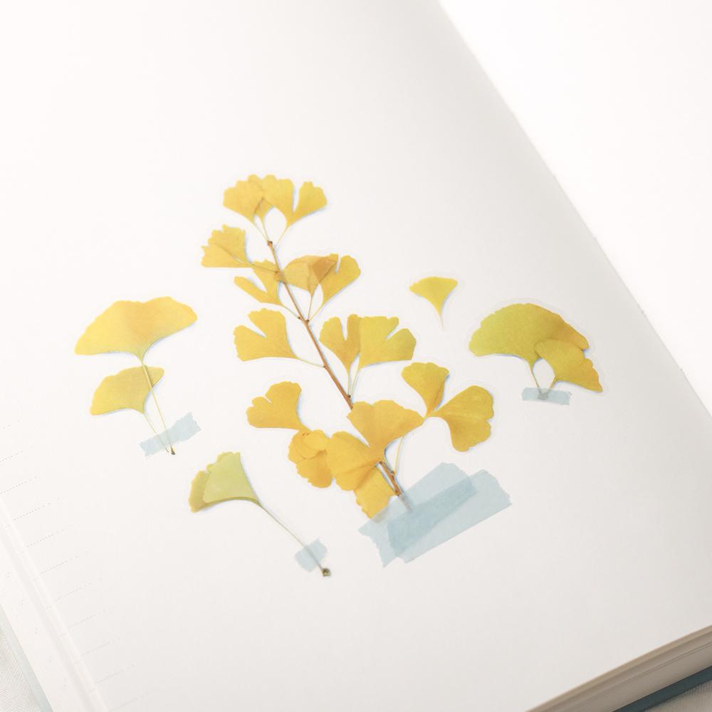 Appree Pressed Flower Sticker Gingko