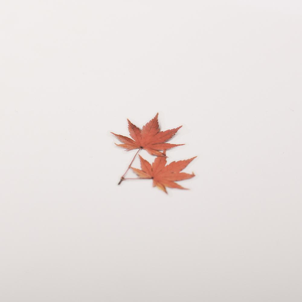 Appree Pressed Flower Sticker Palmate Maple