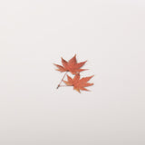 Appree Pressed Flower Sticker Palmate Maple