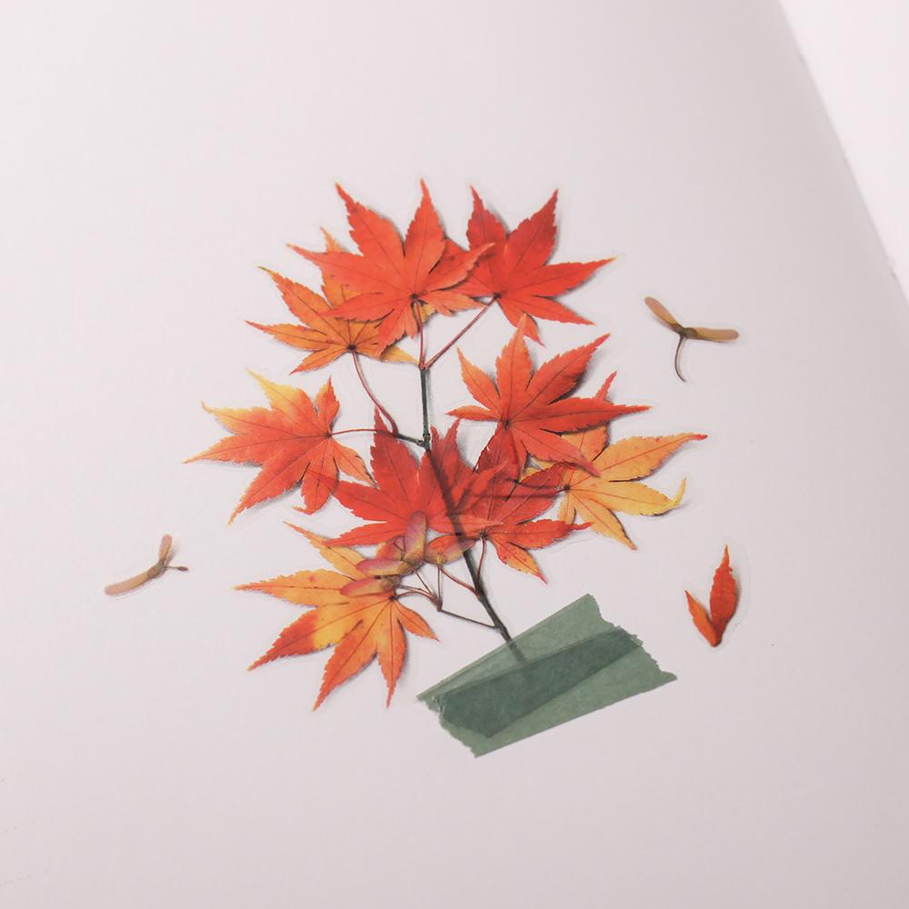 Appree Pressed Flower Sticker Palmate Maple