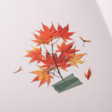 Appree Pressed Flower Sticker Palmate Maple