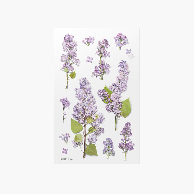 Appree Pressed Flower Sticker Lilac