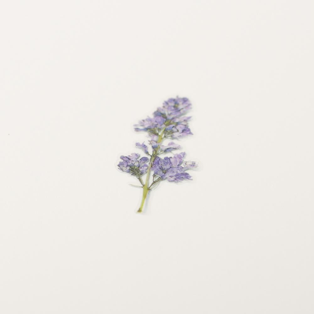 Appree Pressed Flower Sticker Lilac