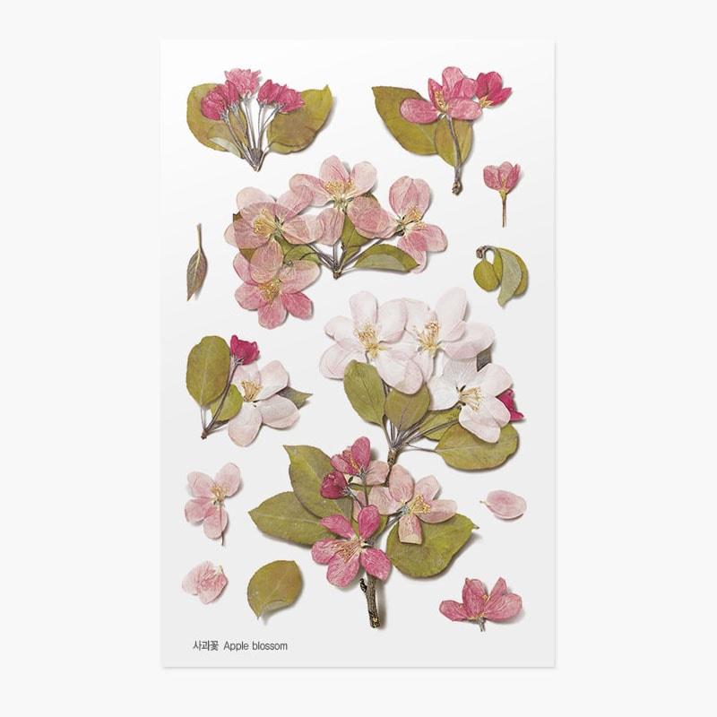 Appree Pressed Flower Sticker Apple Blossom