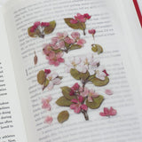 Appree Pressed Flower Sticker Apple Blossom