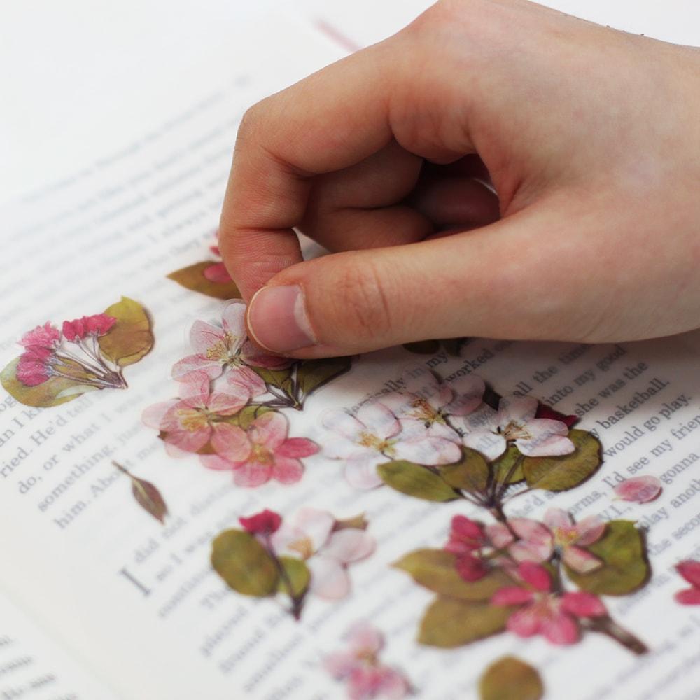 Appree Pressed Flower Sticker Apple Blossom