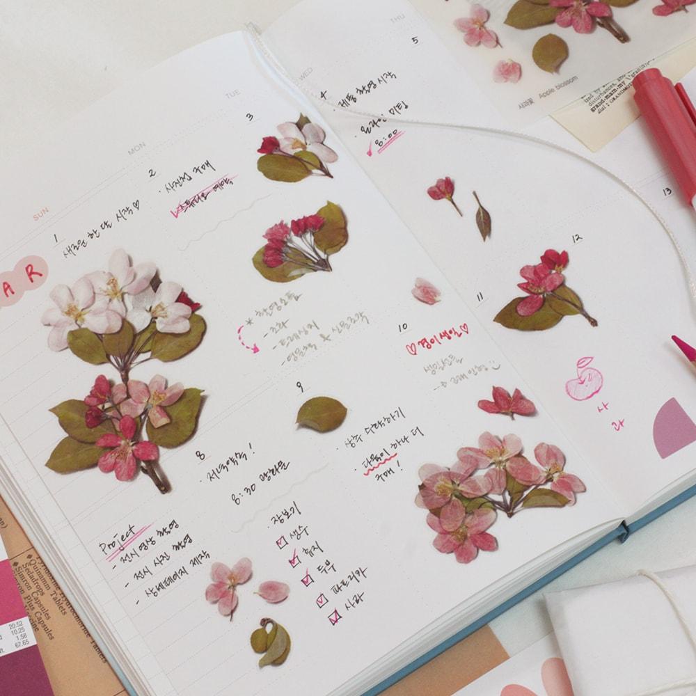 Appree Pressed Flower Sticker Apple Blossom