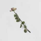 Appree Pressed Flower Sticker Astragalus Sinicus