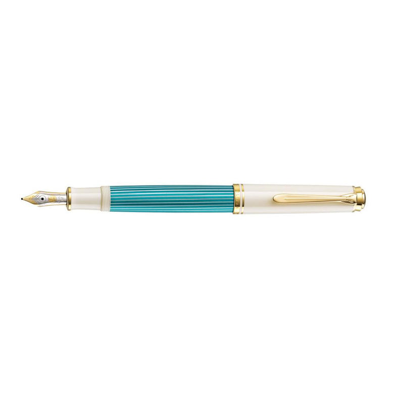 PELIKAN SE SOUVERAN M600 Fountain Pen