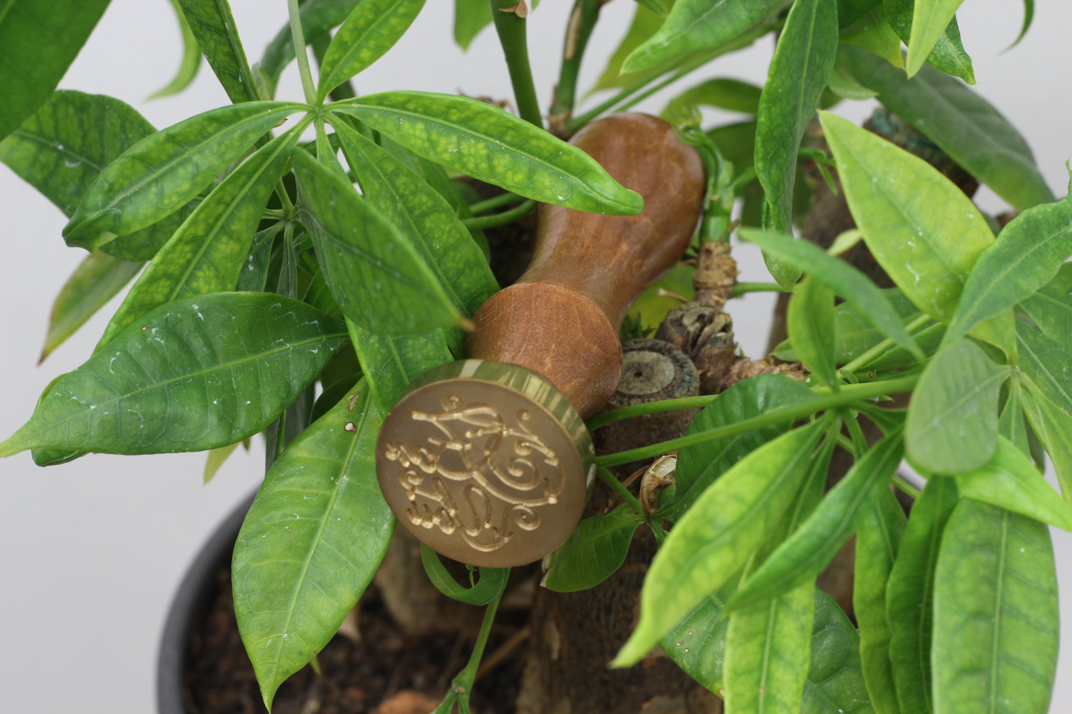 Wax Seal Stamp Single For You