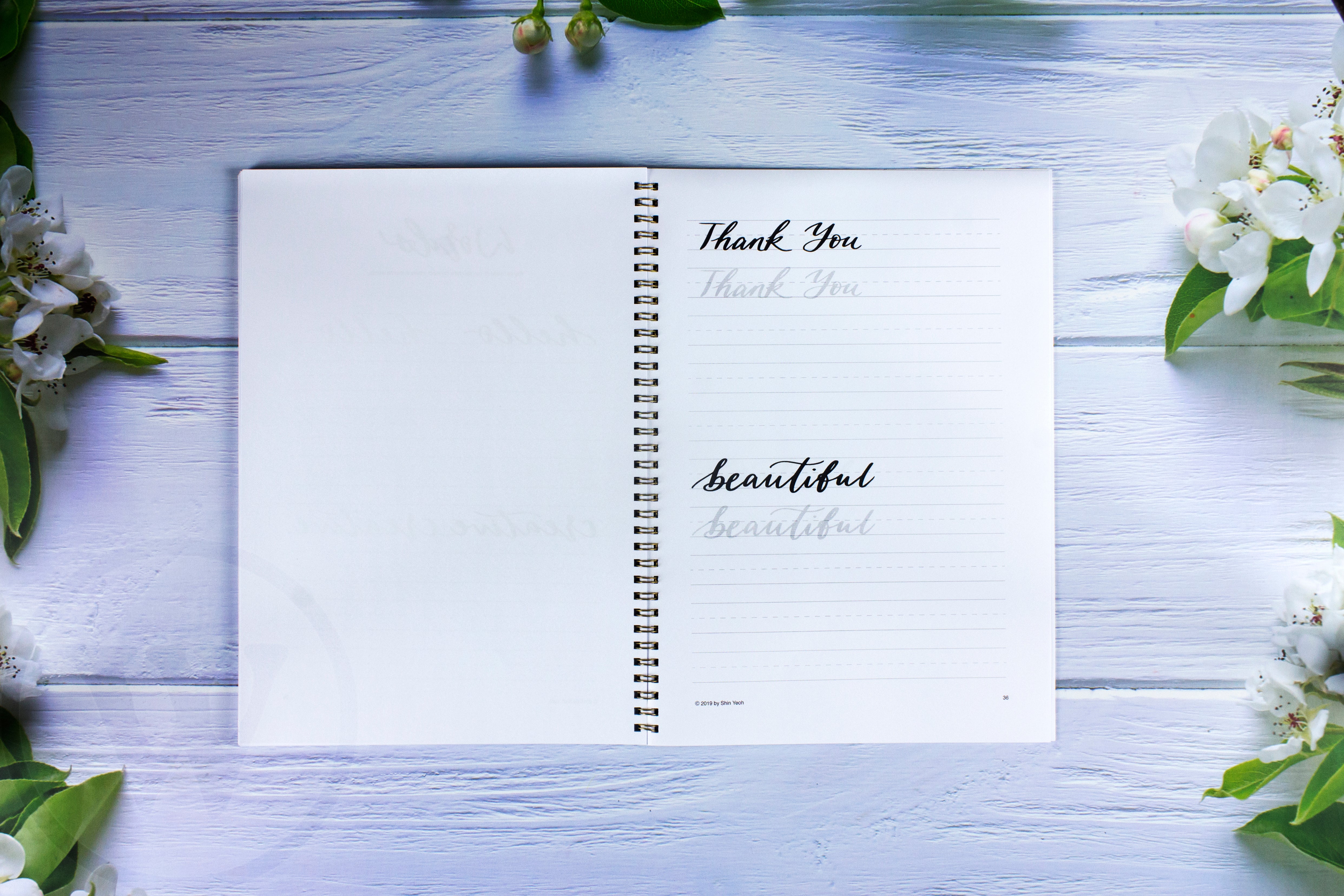 Brush Lettering Practice Sheets
