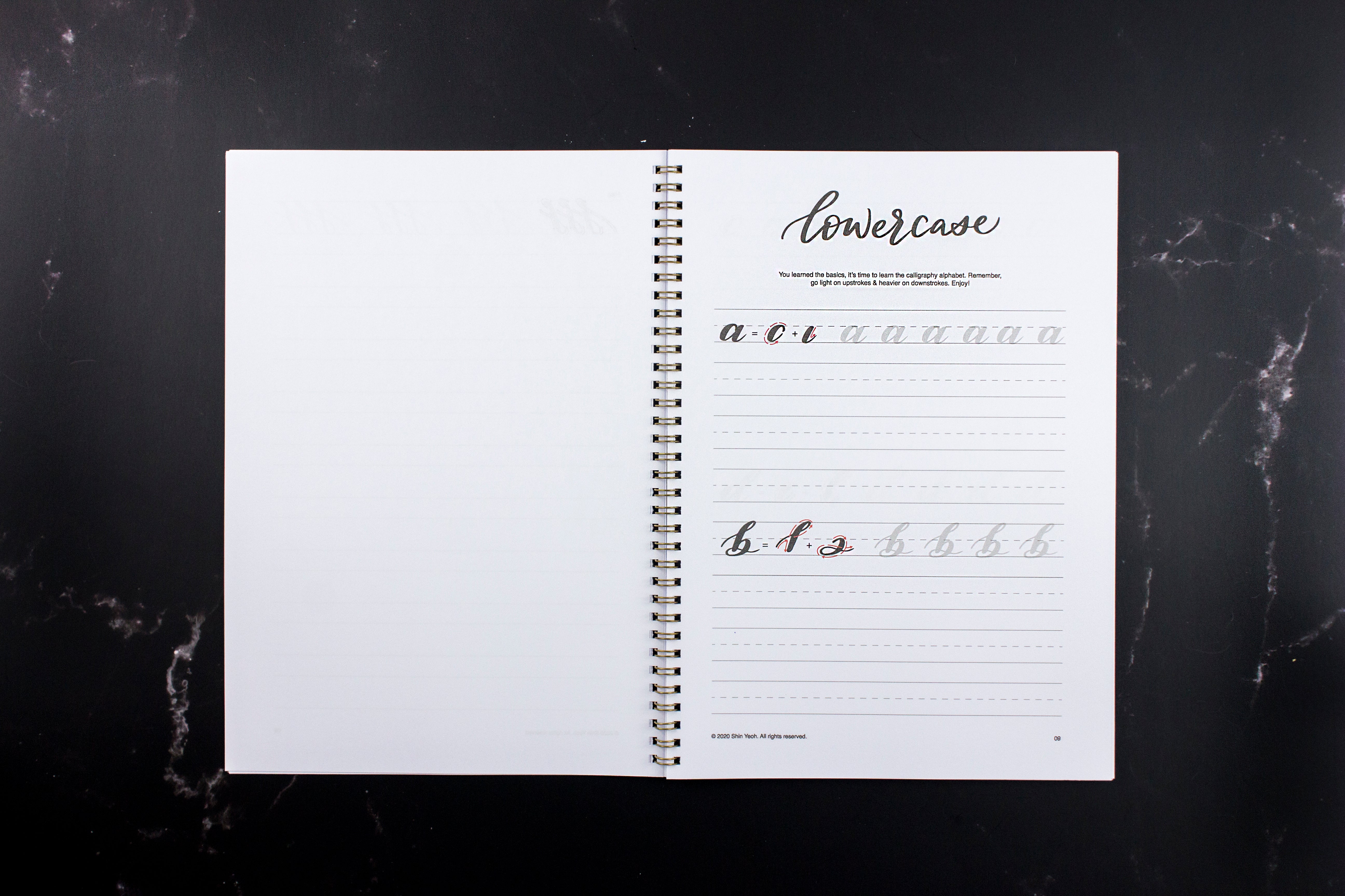 Brush Lettering Practice Sheets-New Edition