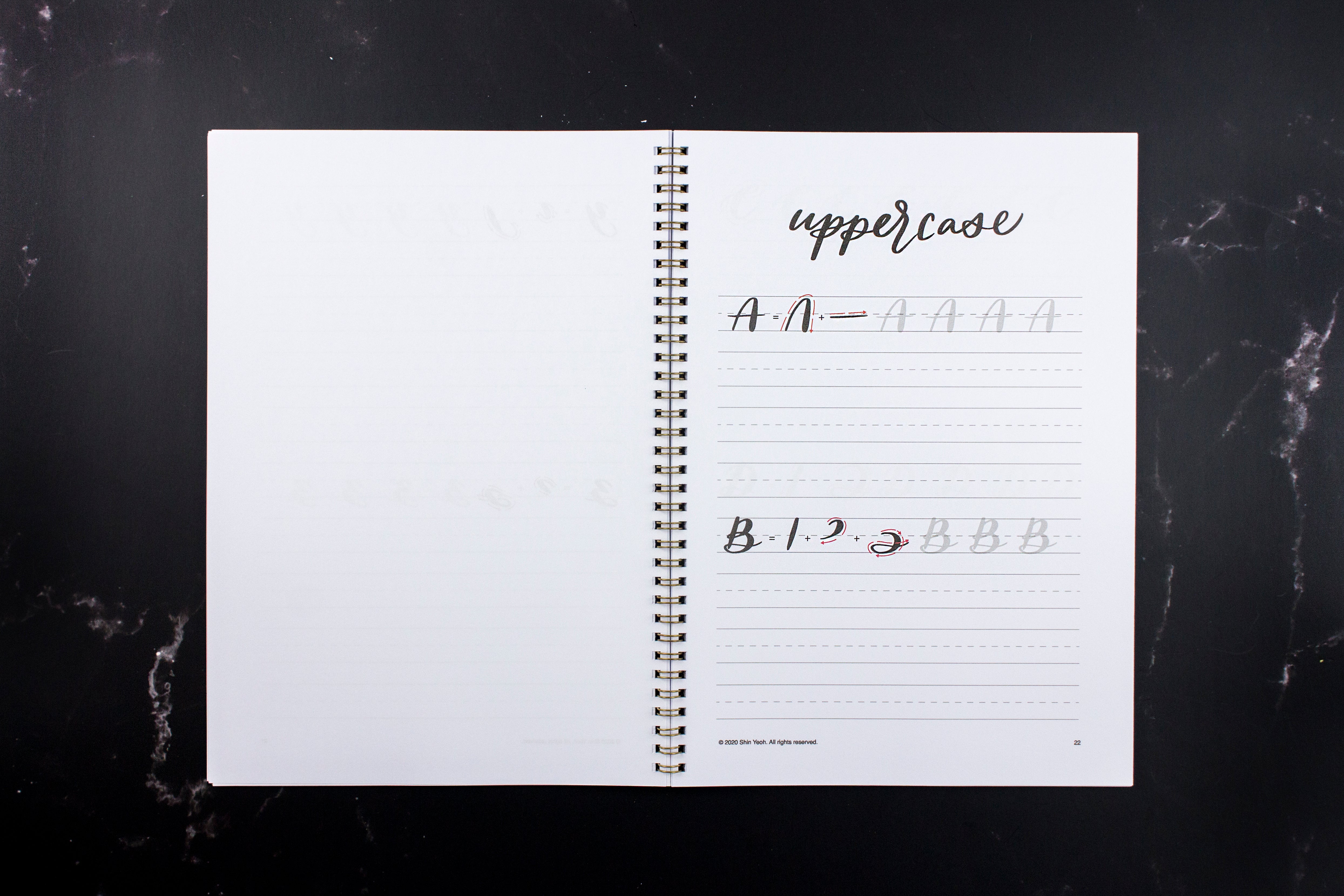 Brush Lettering Practice Sheets-New Edition
