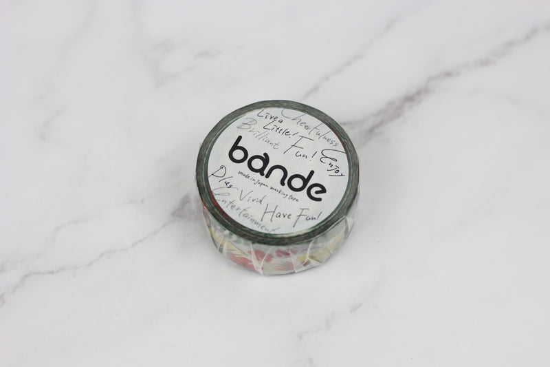 BDA066 オニオオハシ 大 Washi Tape