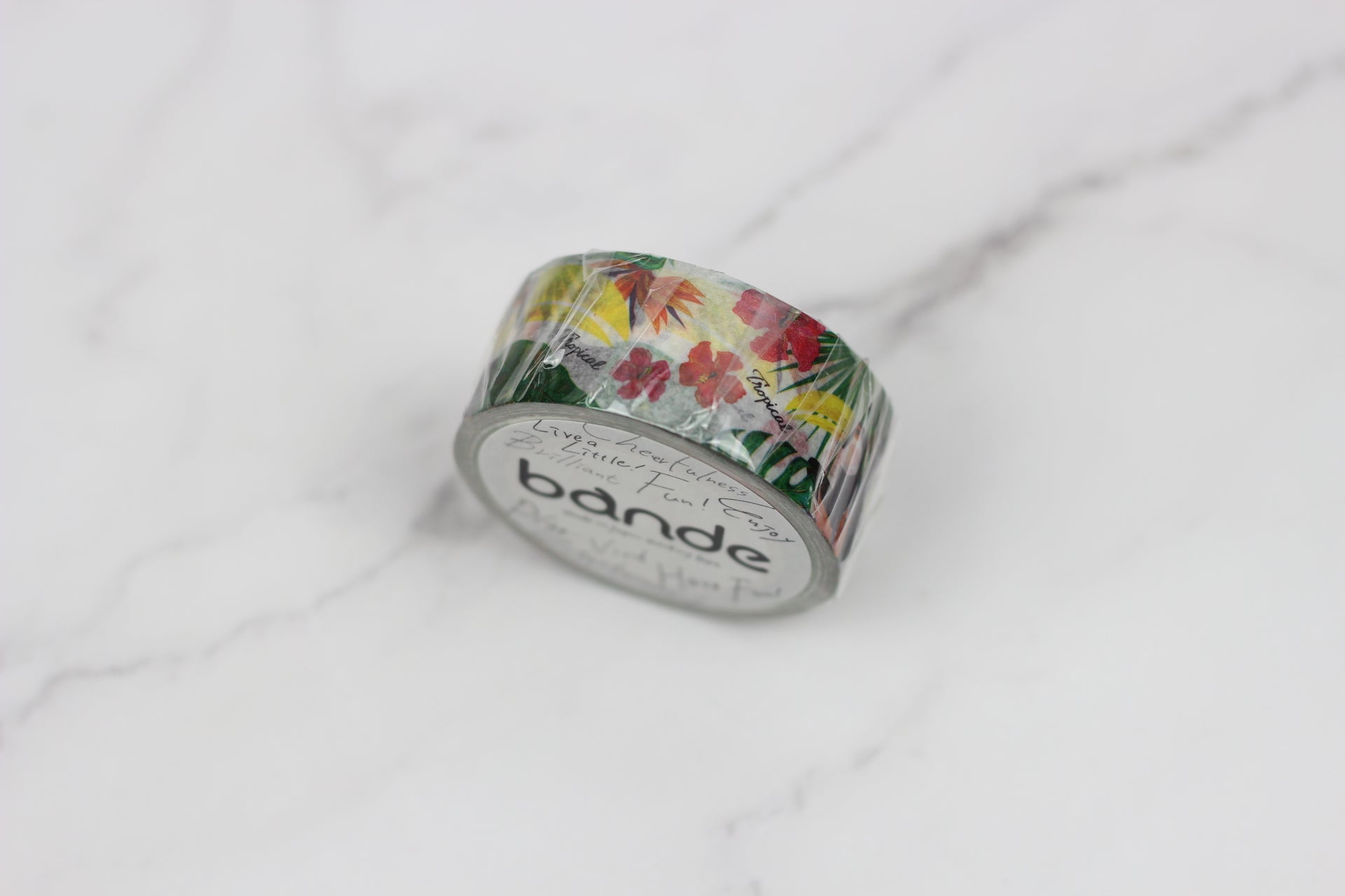 BDA066 オニオオハシ 大 Washi Tape